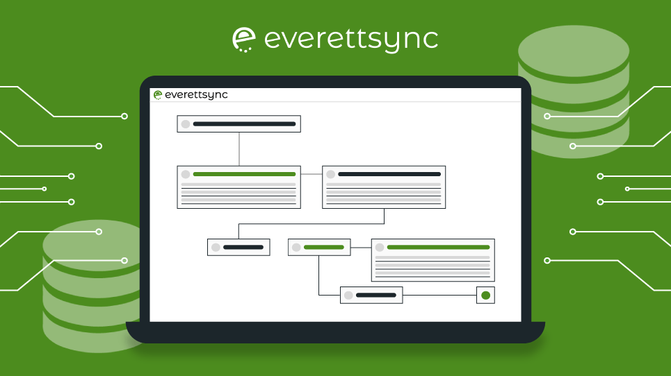 Everettsync: come connettere dati tra piattaforme e database diversi